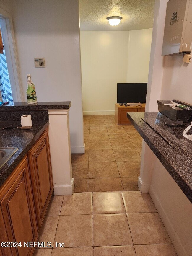 Building Photo - 1736 Fruit Cove Woods Dr