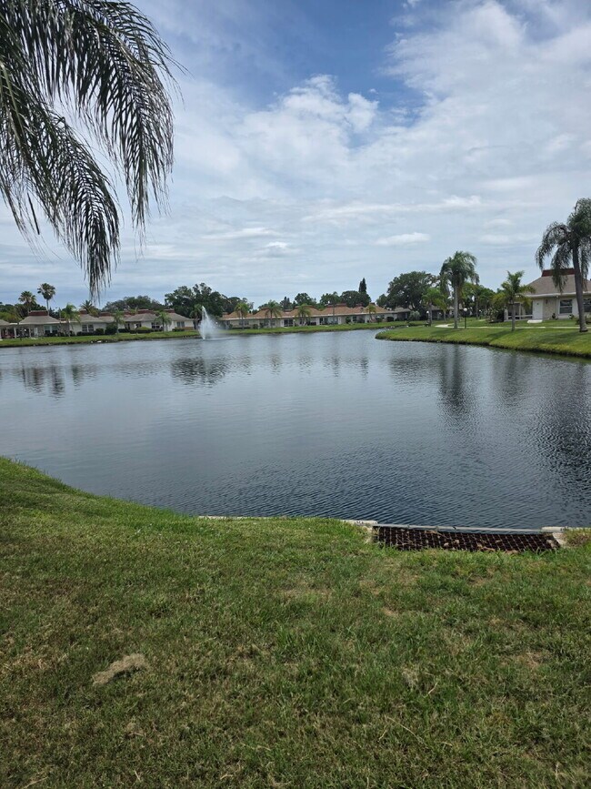 Foto del edificio - "Charming furnished 2-Bed Condo Retreat in Holiday, FL – Cozy 825 Sq Ft of Comfort!"