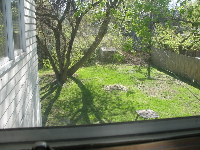 Patio desde la ventana - 431 3rd St