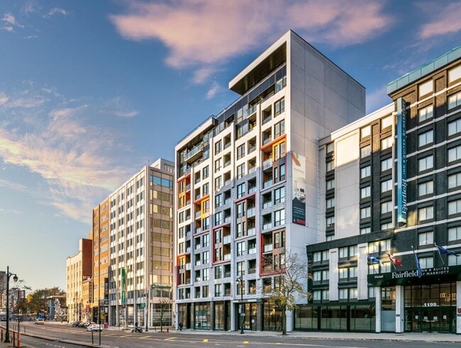 Primary Photo - Nuberri