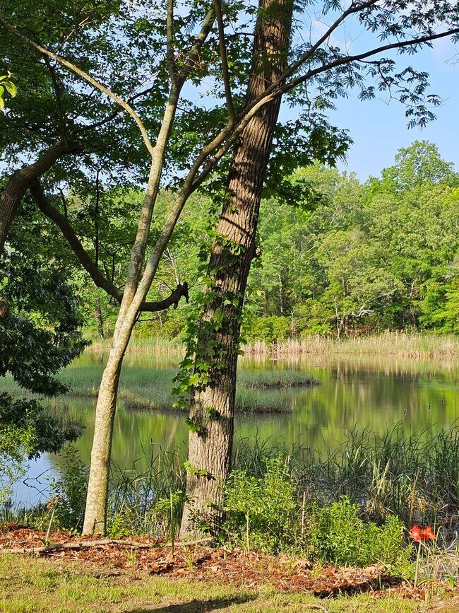 Building Photo - 4101 Long Point Blvd