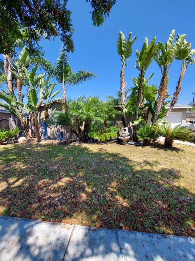 16 Apartments for Rent in Westminster, CA Westside Rentals