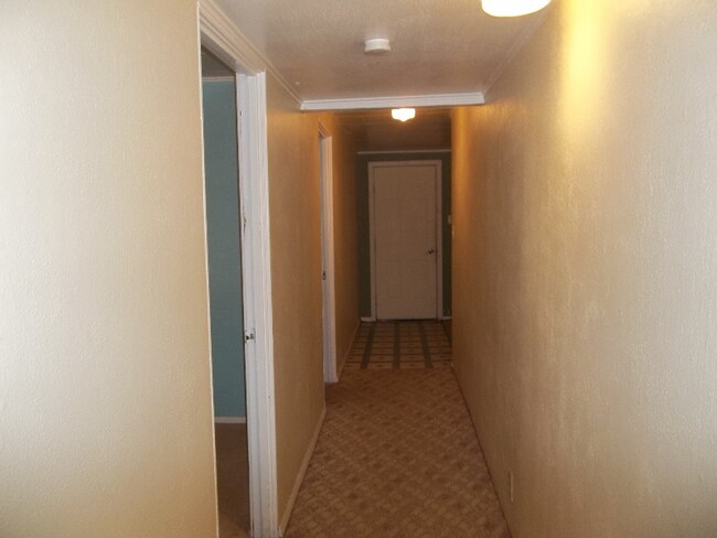 Foto del edificio - 206 11th St