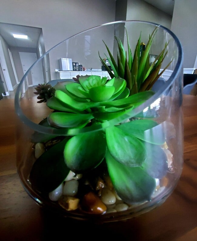 Interior Photo - The New Medford