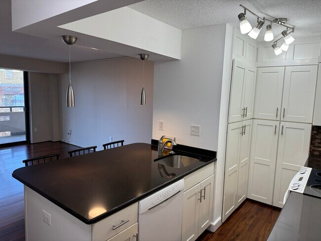 Quartz countertop and plenty of storage on both sides of counter - 1808 Old Meadow Rd