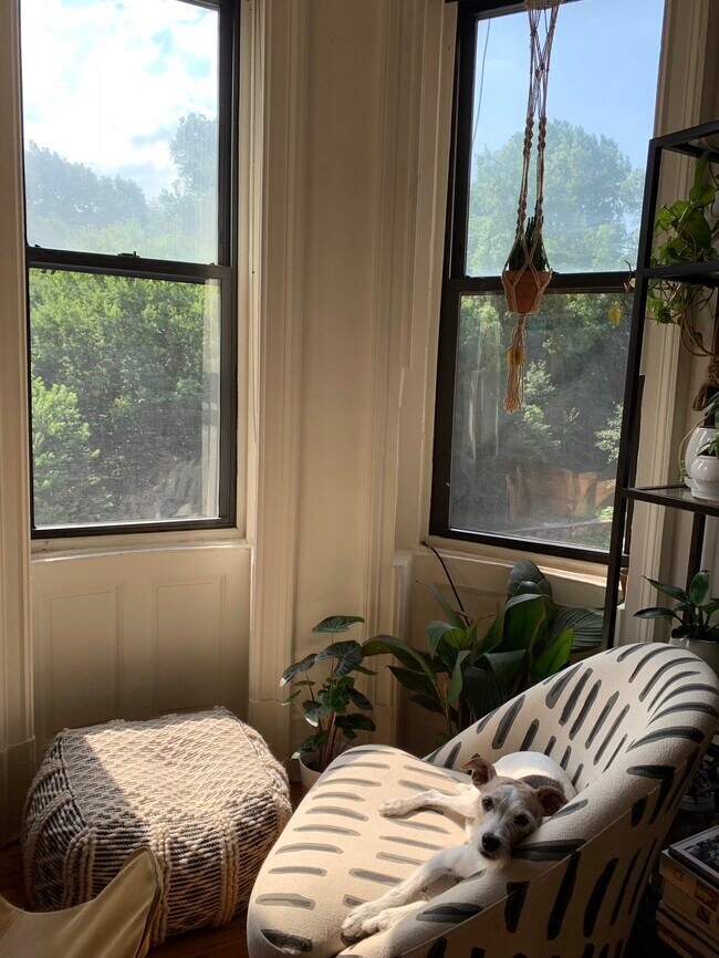 Park views - Living room - 99 Prospect Park W