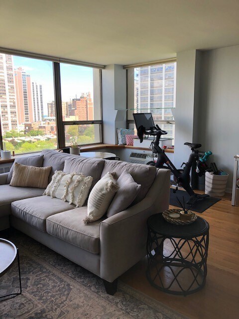 Foto del edificio - 1360 N Sandburg Terrace