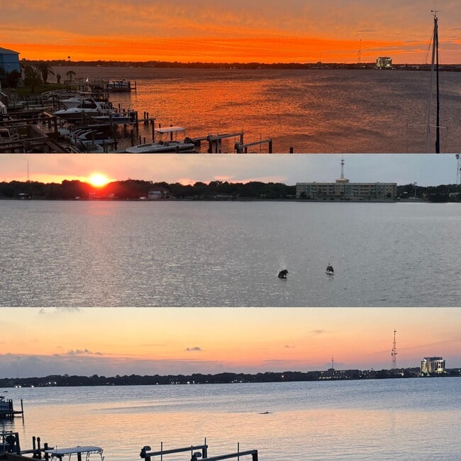 Foto del edificio - 202 Snug Harbour Dr