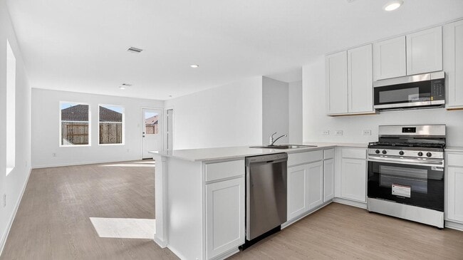 Building Photo - 26911 Dalmatian Bellflower Dr