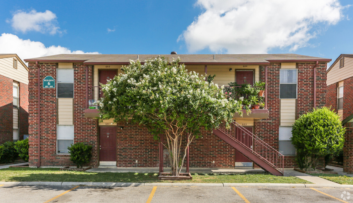 Primary Photo - Hutchins Palms