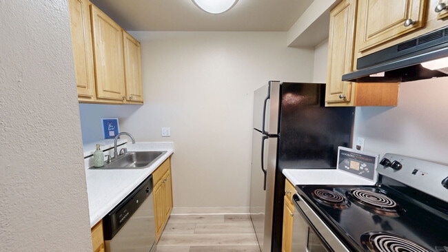 Interior Photo - Marina Playa
