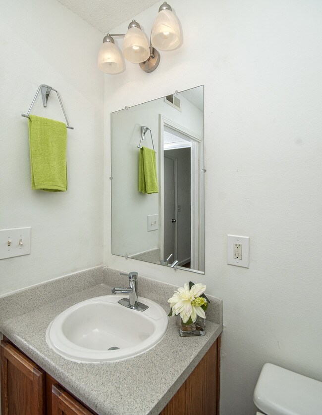 The Enclave Apartments Apartments in Clemson, SC