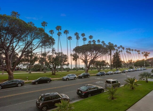 Beautiful Palisades Park in front of the Building - 515 Ocean Ave (Santa Monica, CA) Apartment