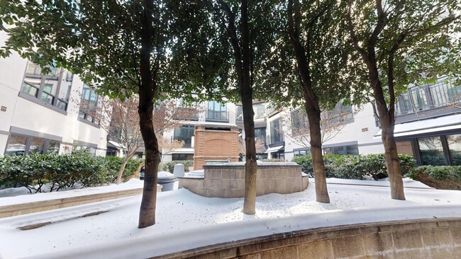 Interior Photo - Domain Brewers Hill