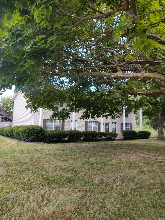 Building Photo - 10576 Market Ave N