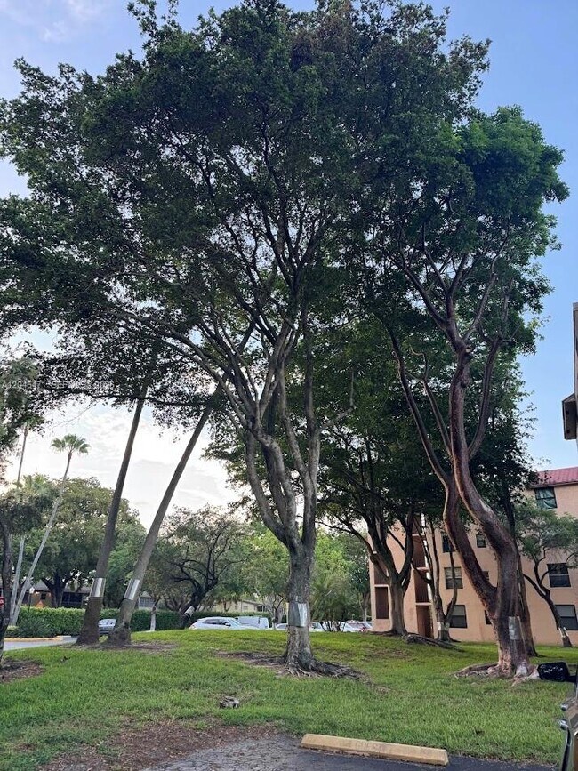 Foto del edificio - 7591 NW 1st St