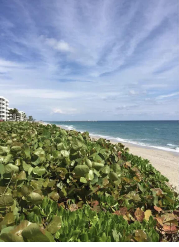 Foto del edificio - 3200 S Ocean Blvd