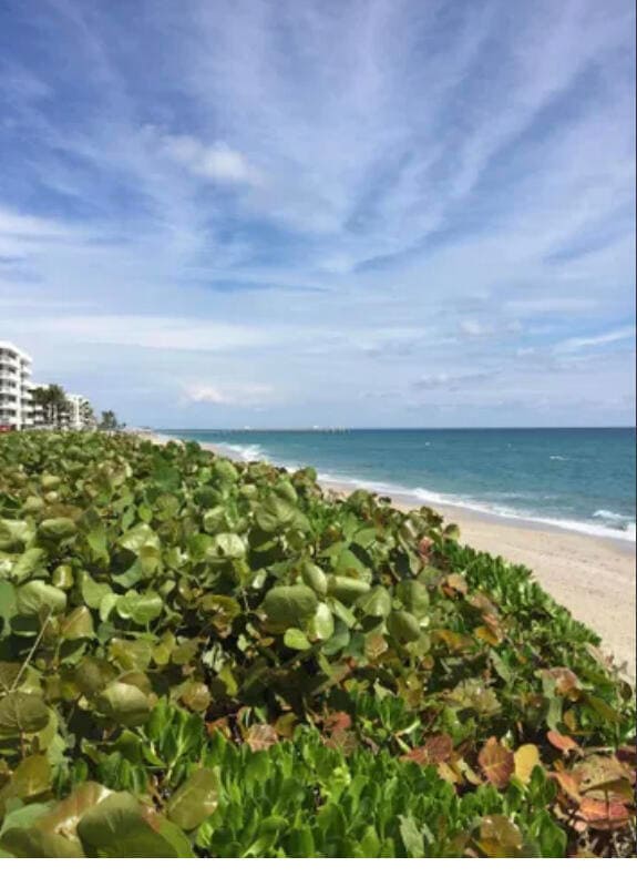 Building Photo - 3200 S Ocean Blvd