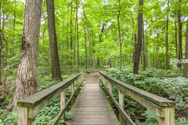 A beautiful hiking trail awaits you in New Lenox.