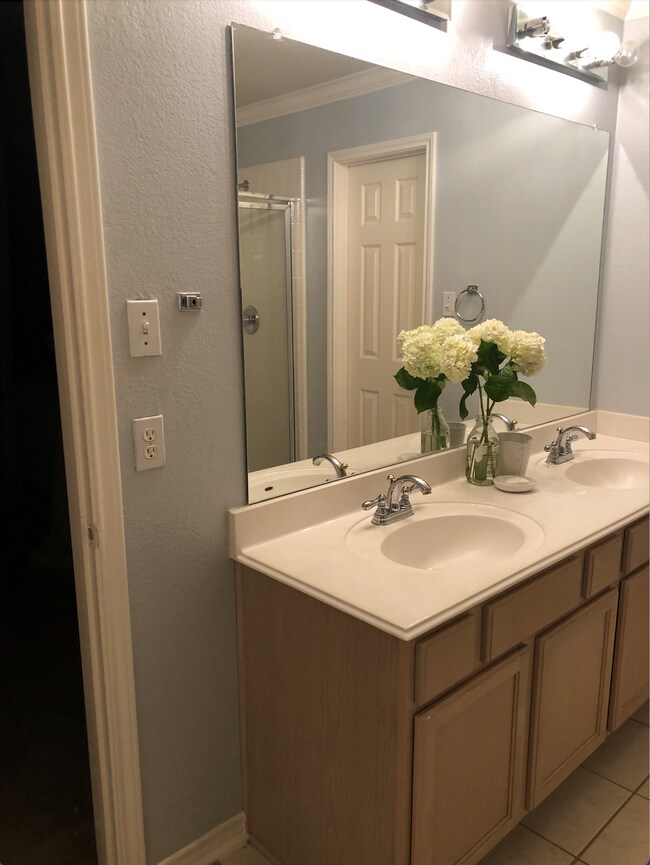 Master Bathroom - 1029 Forest Bluff Trail