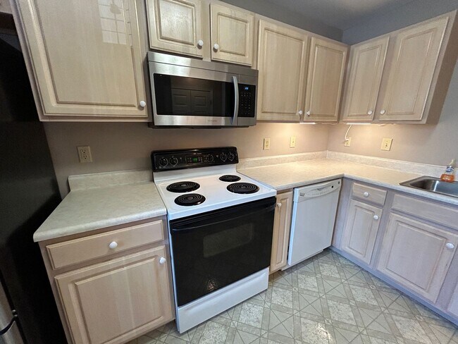 Building Photo - South AVL - Newly Renovated 2-Bedroom Condo