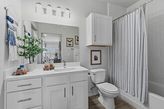 Guest Bathroom - 152 Northland