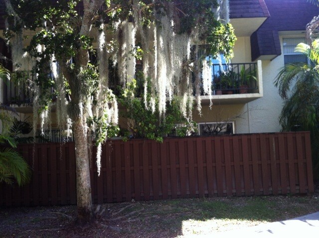 Exterior - 13712 SW 90th Ave