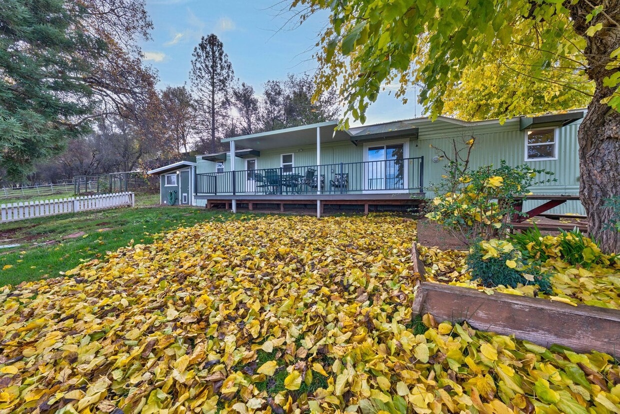 Primary Photo - Cozy 1 Bedroom ADU With Stunning Pasture & Pond Views in Rescue!