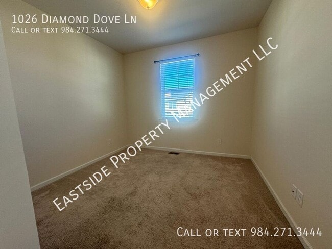 Building Photo - 1026 Diamond Dove Ln