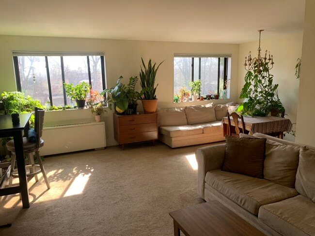 Building Photo - 8601 Manchester Rd