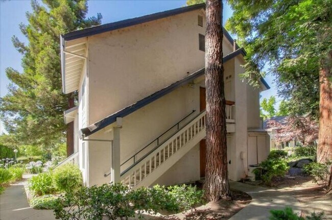 Building Photo - 1032 Summermist Ct