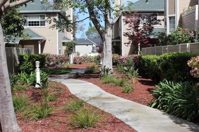 Building Photo - Belmont Hills Sanctuary: 3 En-Suite Suites Behind Oracle & Farallon Park