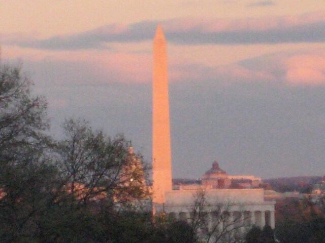 View from Your Condo Livingroom - 1304 N Meade St