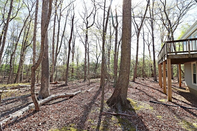 Building Photo - Private & Peaceful Living on 3 Wooded Acres