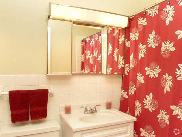 Bathroom - St. Anthony Village