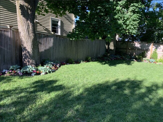 Shared, fenced in backyard - 305 Webster St