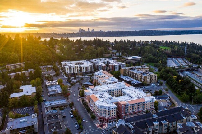 The Mercer Apartment Homes