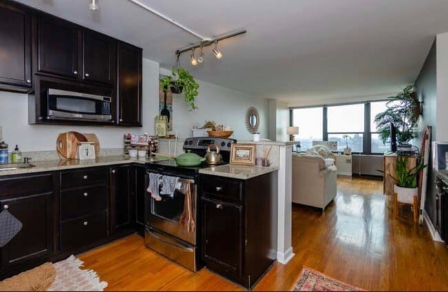 Photo - 1560 N Sandburg Terrace Apartment