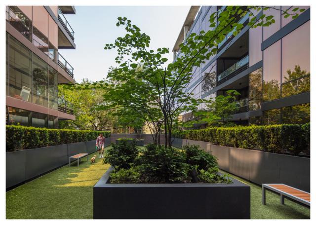 Foto del edificio - 3 bedroom in Chicago IL 60657