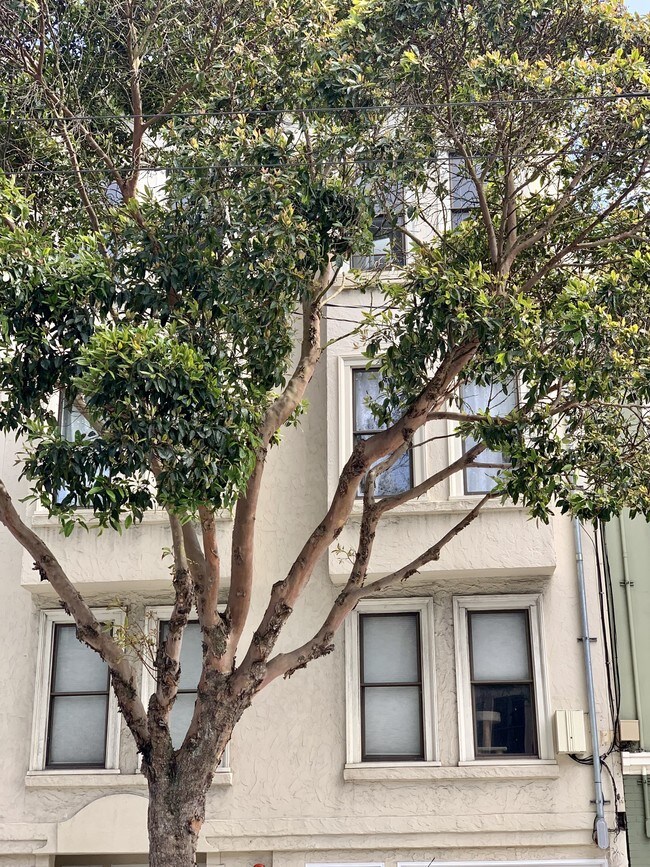 Foto del edificio - 183 Parnassus Ave