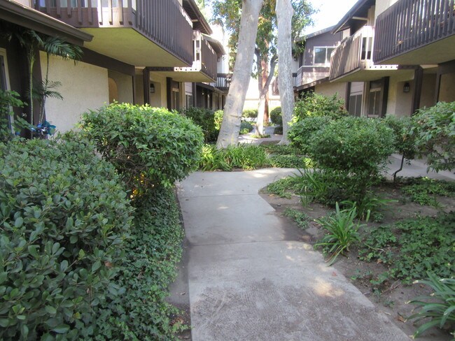 entrance front walk - 6716 N Clybourn Ave