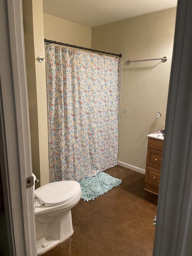 15 Vine St, Hillsdale, MI 49242 House Rental in Hillsdale, MI