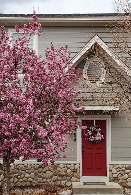 Foto del edificio - 2484 St Paul Dr