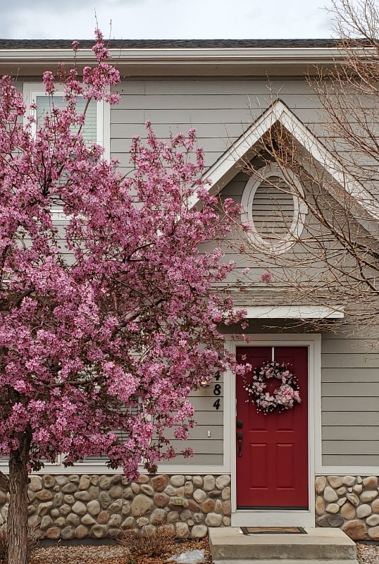 Photo - 2484 St Paul Dr House