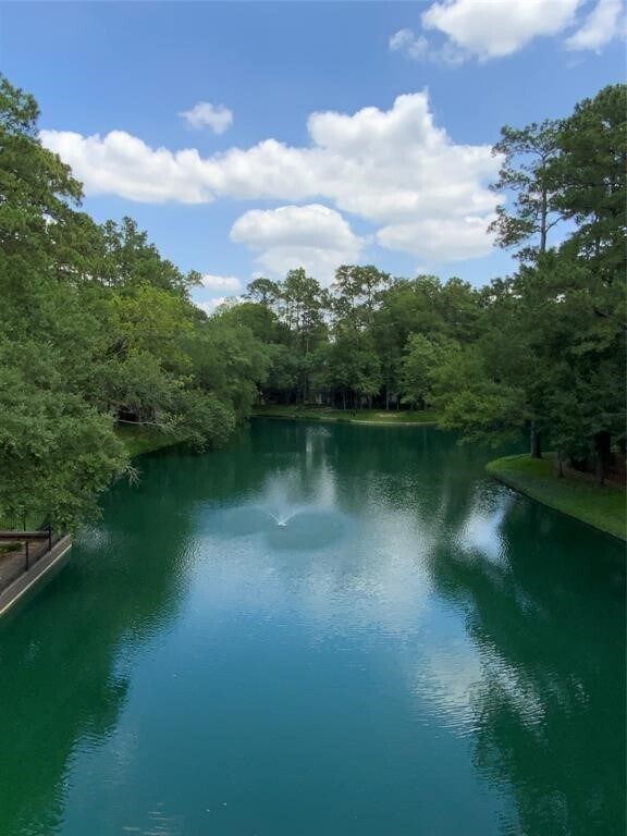 Foto del edificio - 233 Litchfield Ln