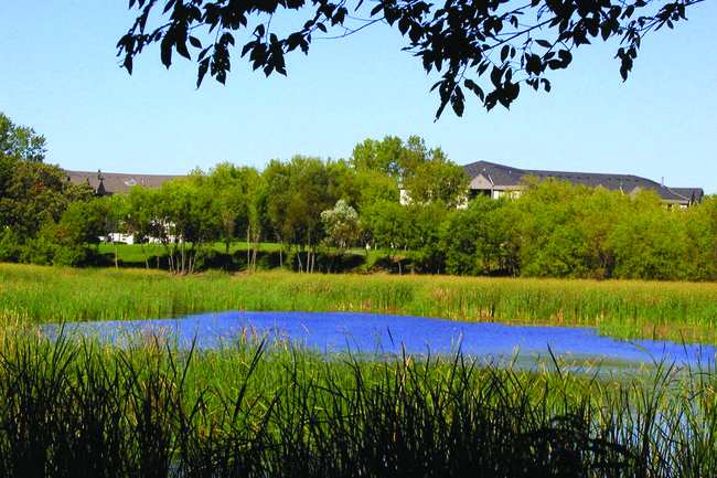 Foto del edificio - Parkside at Medicine Lake