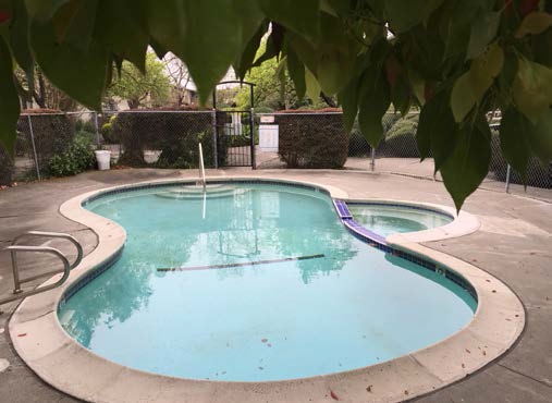 Pool - Boris Garden Apartments