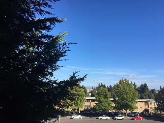 ¡Bonita vista! - 12329 Roosevelt Way NE