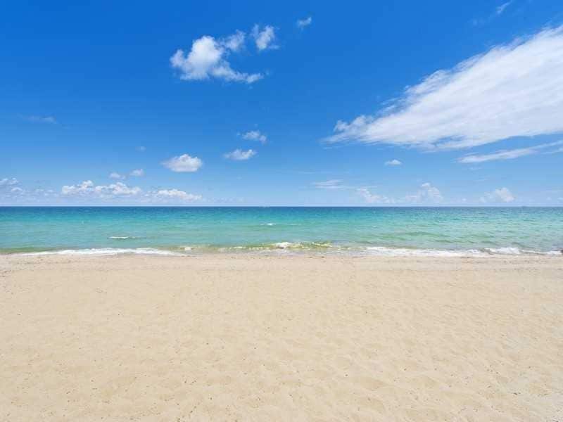 Primary Photo - 2555 NE 11th St