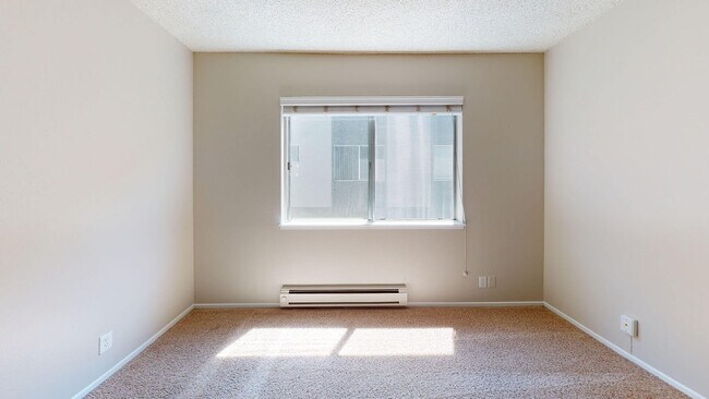 Interior Photo - Birch Creek